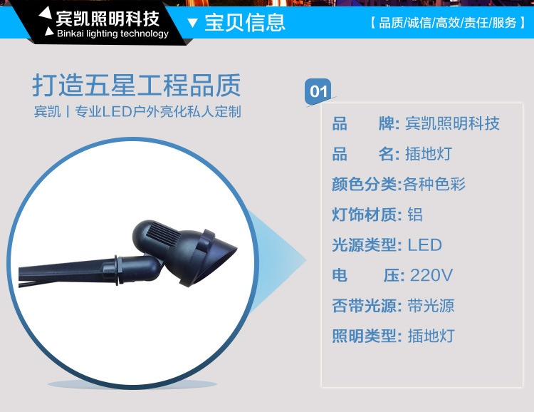 3瓦户外亮化LED插地灯草坪LED插泥灯公园亮化LED插地照树射灯示例图11