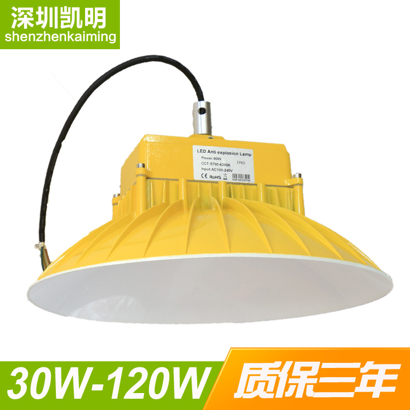 防爆LED厂房100W工业厂房吊灯足功率防尘水大功率LED100W厂房灯示例图1