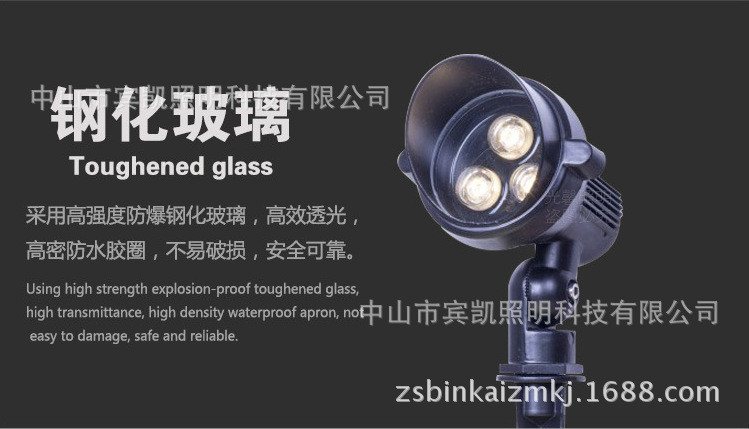 3瓦户外亮化LED插地灯草坪LED插泥灯公园亮化LED插地照树射灯示例图19