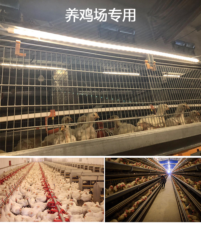 养鸡场专用可调光低压DC36V-52V防水T5 LED灯管3W-5W示例图7