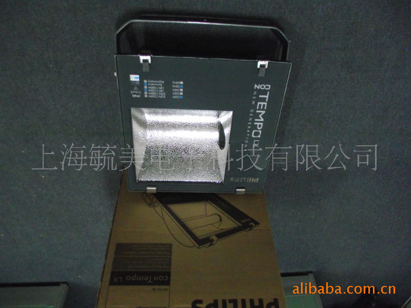 飞利浦RVP350投光灯  飞利浦投光灯RVP350示例图4
