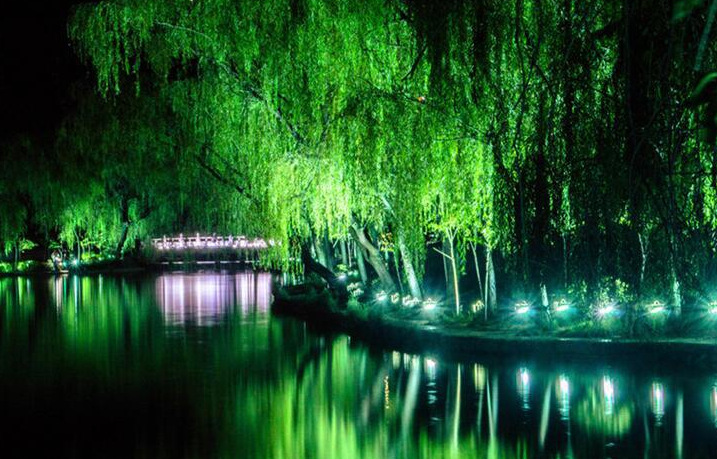 LED灯公园别墅灯小区亮化插地灯厂家直销插地灯 LED草坪灯插泥灯示例图9