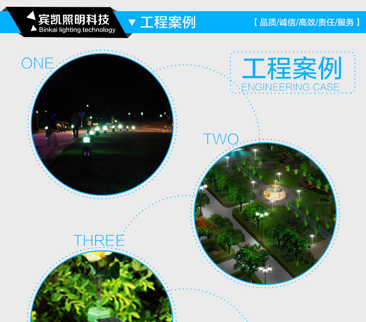 LED灯公园别墅灯小区亮化插地灯厂家直销插地灯 LED草坪灯插泥灯示例图10