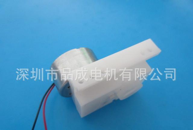 品成迷你激光灯 草坪灯直流减速马达 草坪灯电机 户外镭射灯示例图4