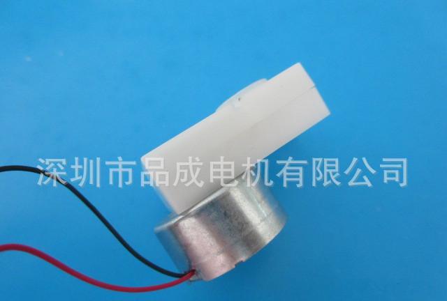 品成迷你激光灯 草坪灯直流减速马达 草坪灯电机 户外镭射灯示例图5