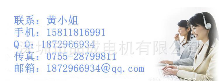 品成迷你激光灯 草坪灯直流减速马达 草坪灯电机 户外镭射灯示例图9