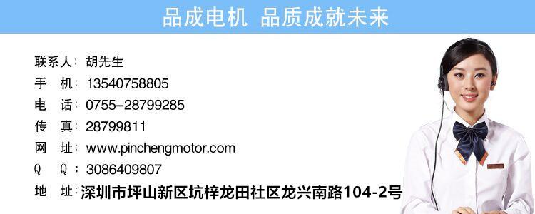 户外激光草坪灯电机 迷你激光灯马达 三维动画舞台镭射灯减速电机示例图10