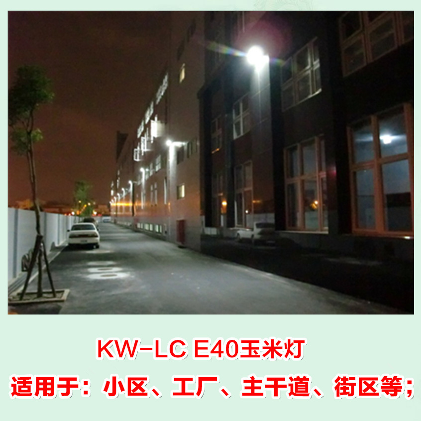 厂家批发七彩草坪灯内部LED灯芯30W 40W 50W 60W 80W 户外景观灯示例图10
