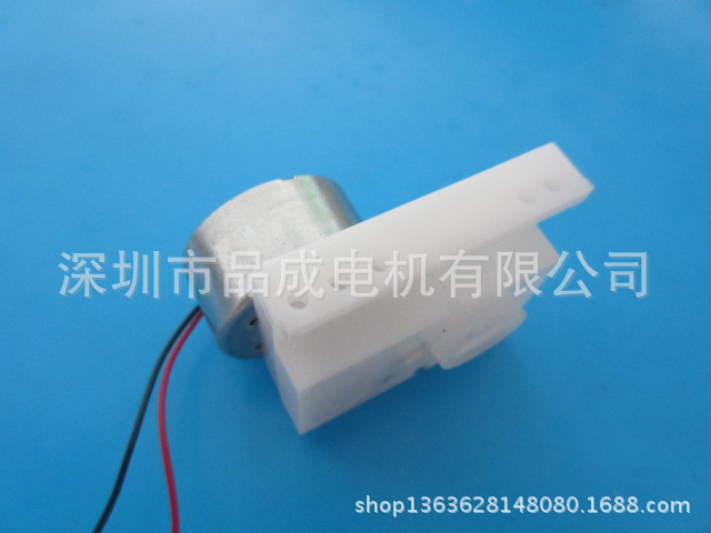 品成300微型减速电机 高品质户外草坪灯电机  长寿命直流减速电机示例图5