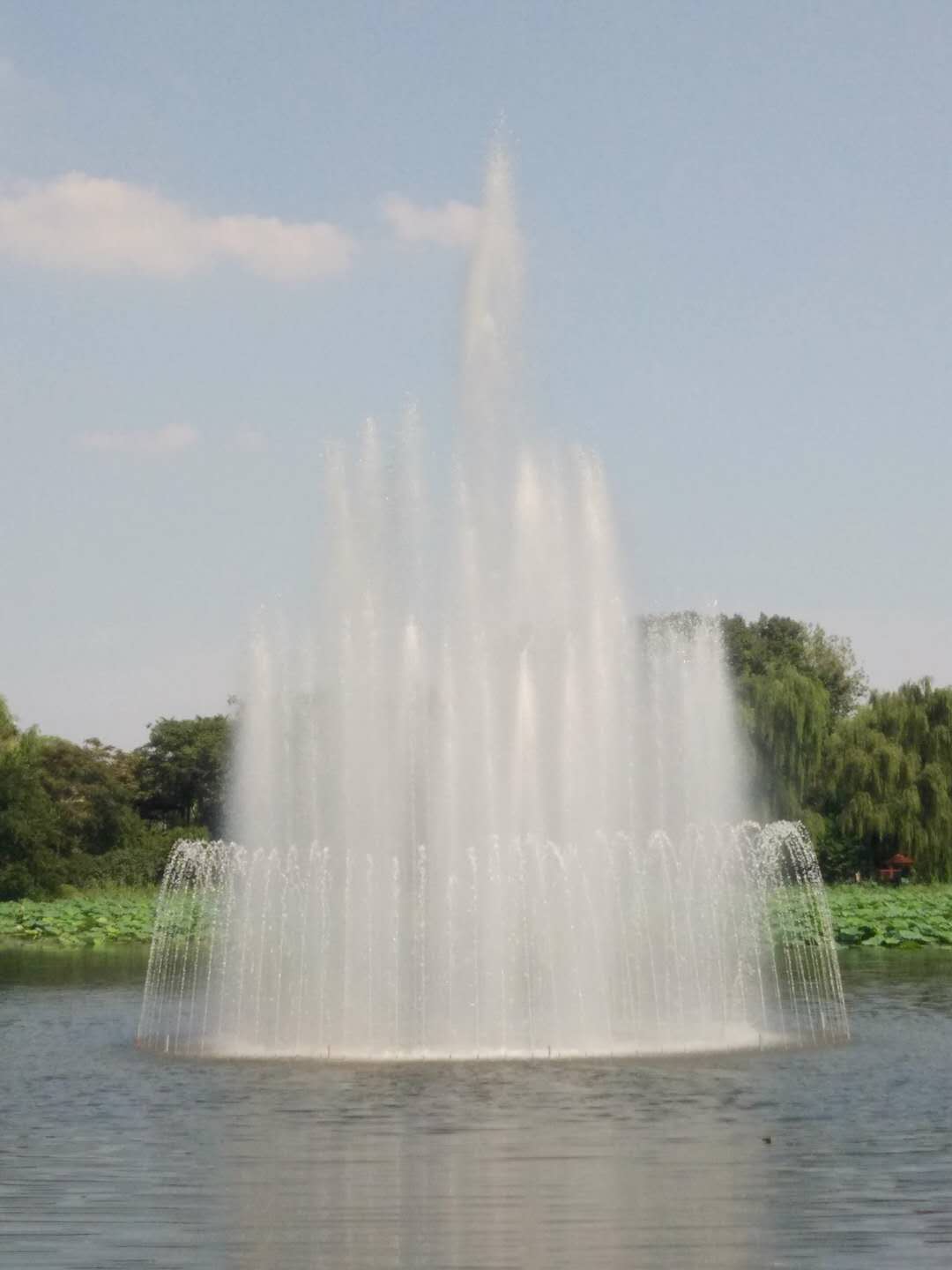6558540.jpg
