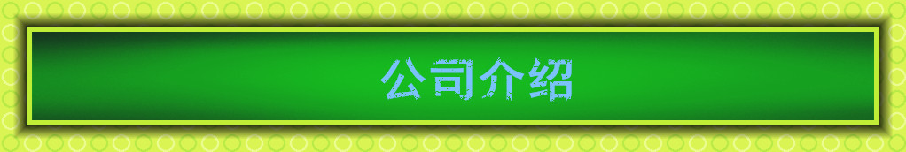 不锈钢防云石壁灯 公园广场园林小区别墅路灯 庭院灯 户外室内灯示例图126