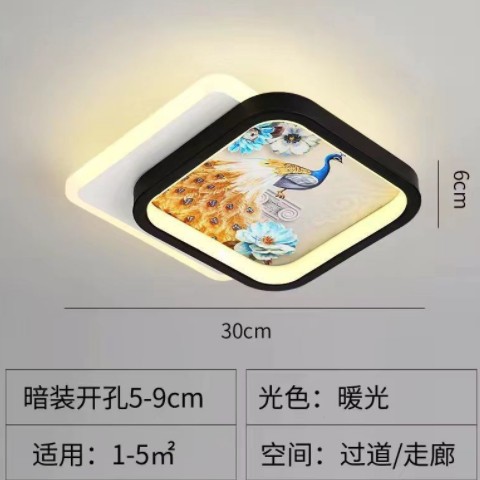 现代轻奢风 led过道灯走廊灯衣帽间玄关灯入户进门灯筒灯吊顶灯图2