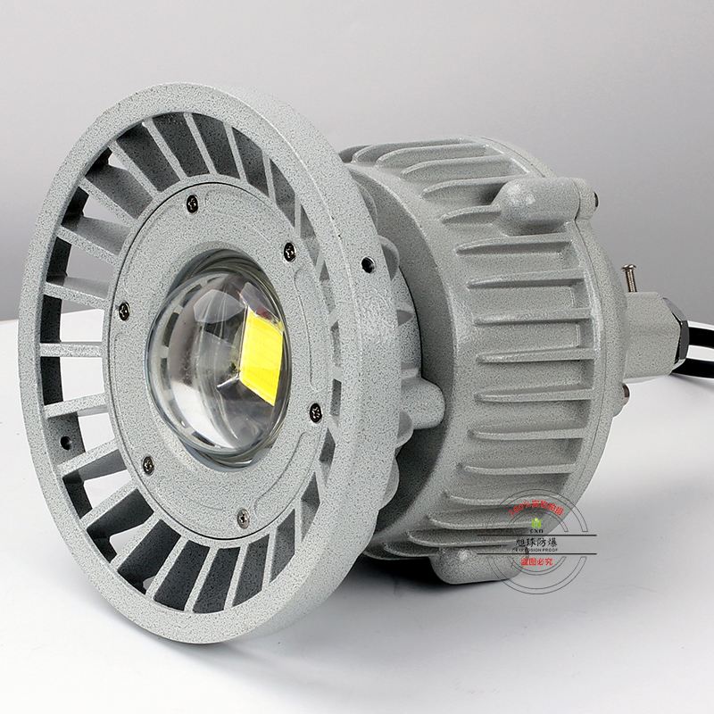 <strong><strong><strong><strong>金属厂防爆路灯80W</strong></strong></strong></strong>