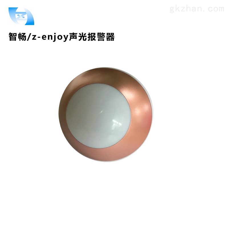 智畅Z-enjoy10路智能声光报警器