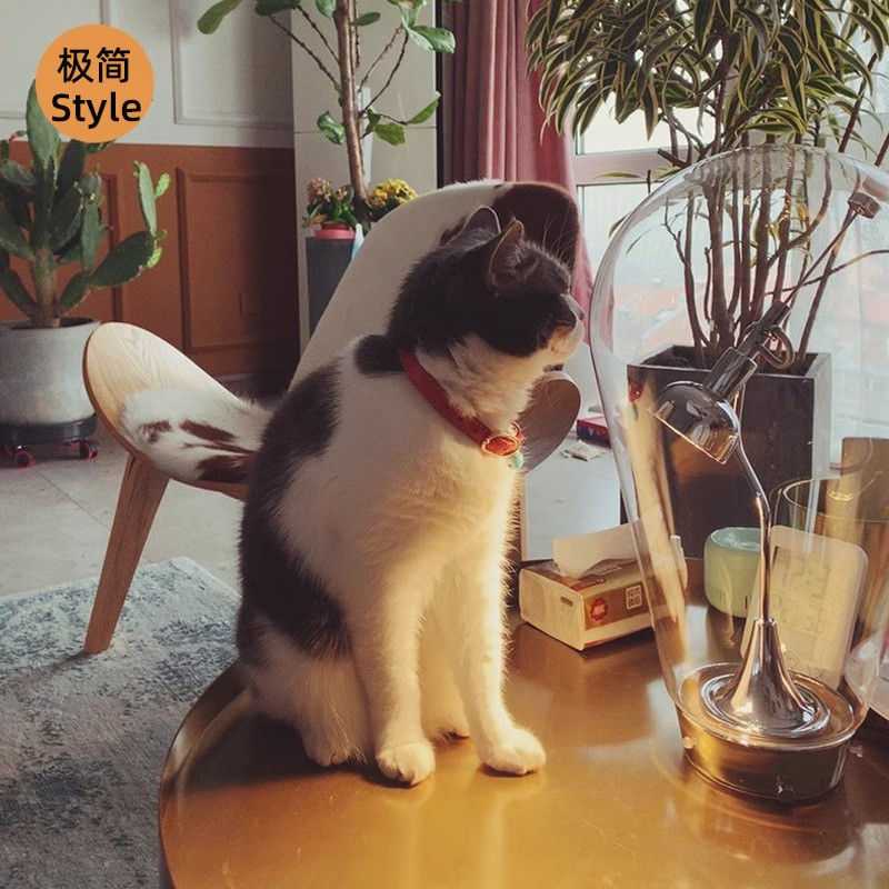 北欧极简风玻璃装饰台灯客厅办公桌书房卧室床头触摸磁铁创意台灯图3